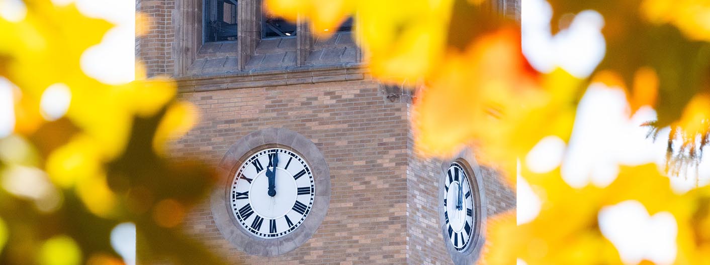 View of the campanile clock framed by golden autumn leaves.