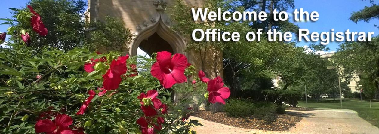 Red Hibiscus and campanile