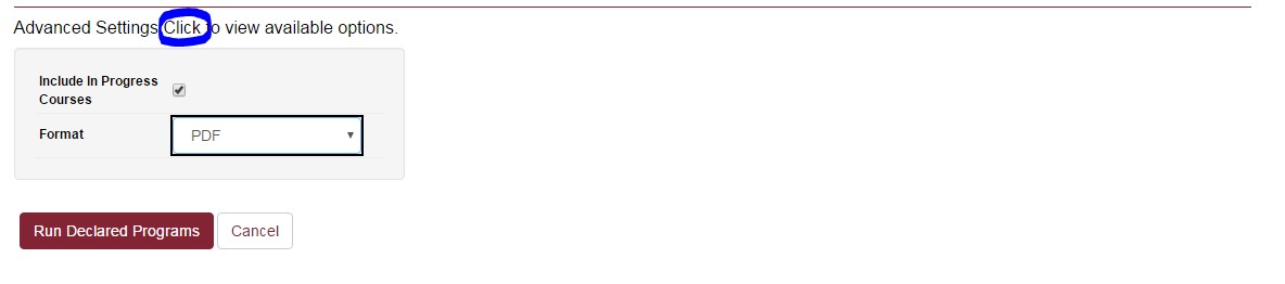 run pdf audit
